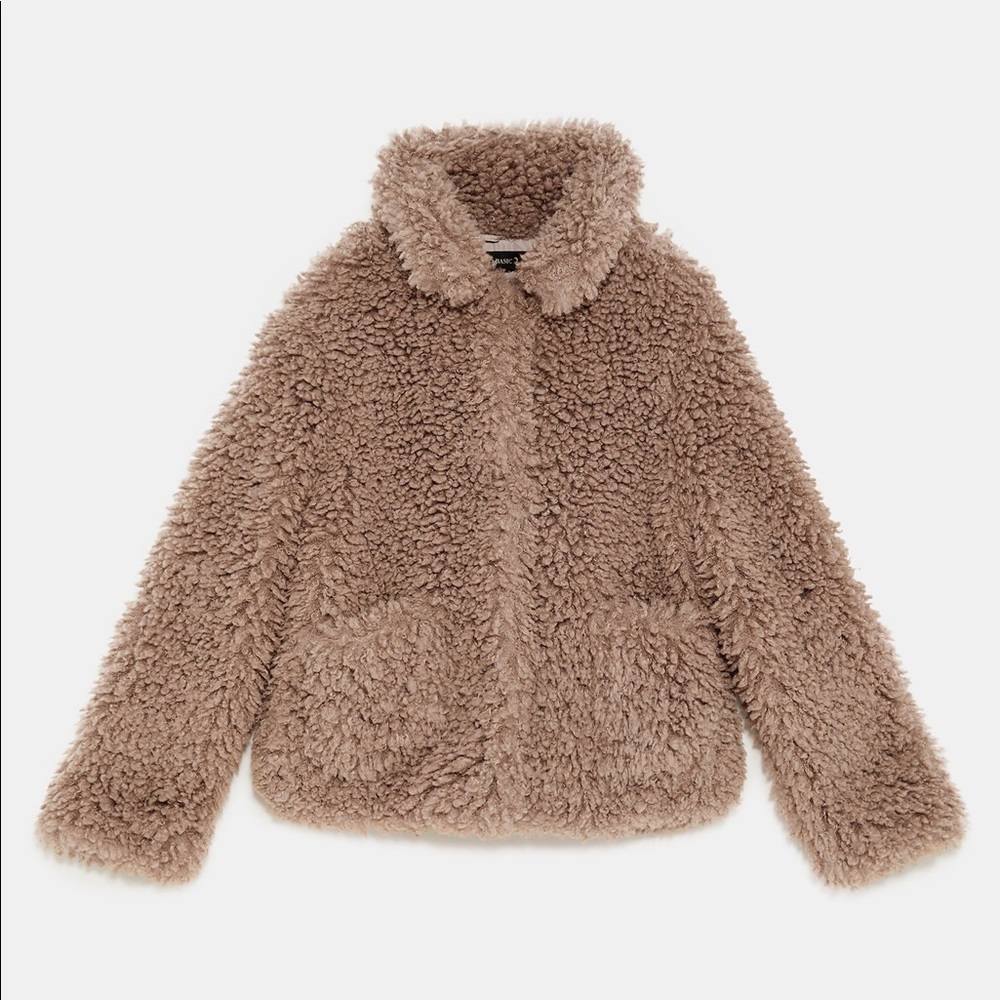 Zara Teddy Coat
